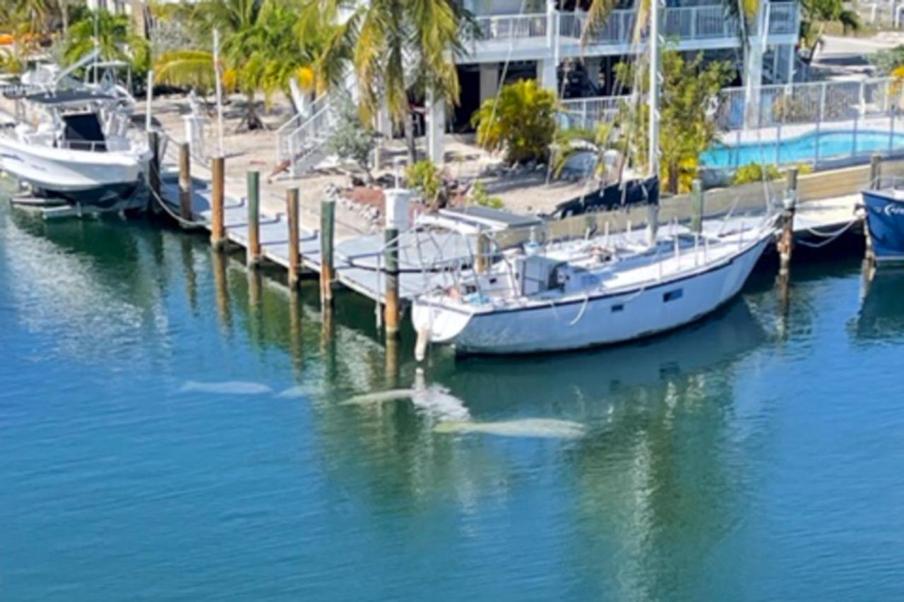 Skipjack Resort & Marina #404 Marathon Extérieur photo